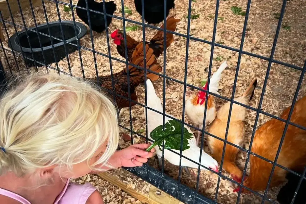 Crisp Country Acres, a partner farm supplying CC's Market