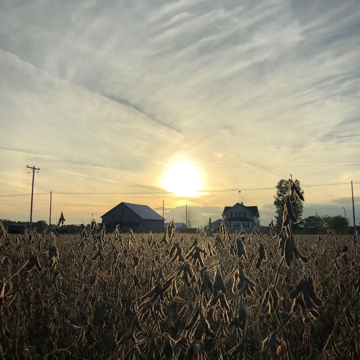 Raterink Farm, a partner farm supplying CC's Market